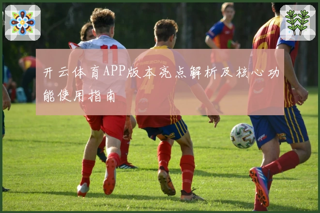 开云体育APP版本亮点解析及核心功能使用指南
