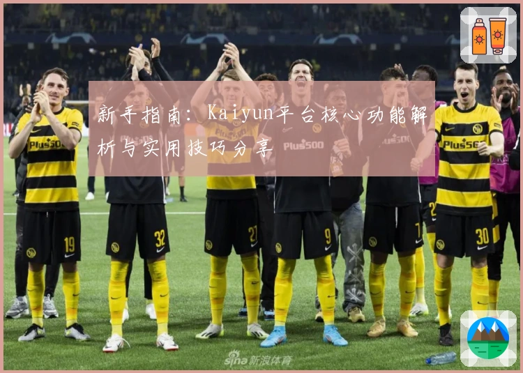 新手指南：Kaiyun平台核心功能解析与实用技巧分享